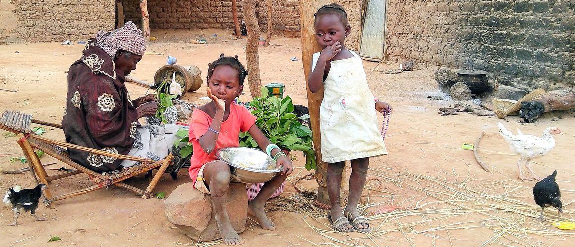 Dans les régions cotonnières du Burkina Faso, les repas se basent sur un nombre très restreint d’aliments : le tô de maïs, l’arachide, le gombo et quelques légumes feuilles © A. Lourme-Ruiz, Cirad